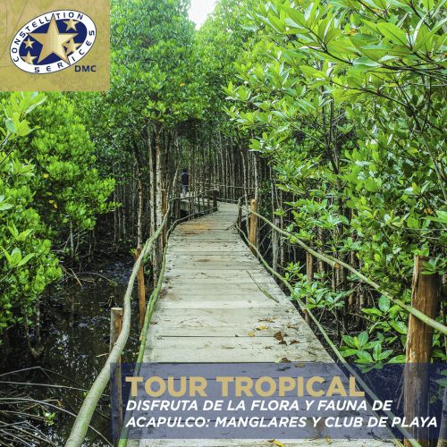 Tour Tropical en Laguna de Tres Palos